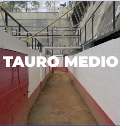 Tauro Medio: El sorteo