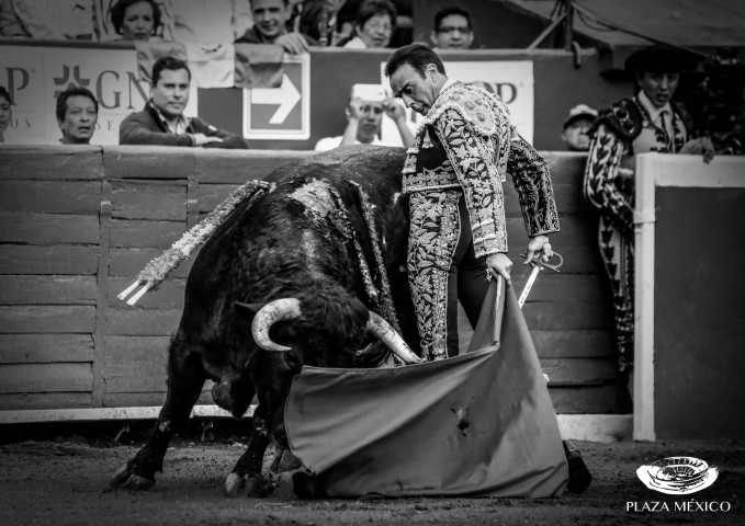 GNP SEGUROS PRESENTA: FERIA DE ANIVERSARIO EN LA MÉXICO