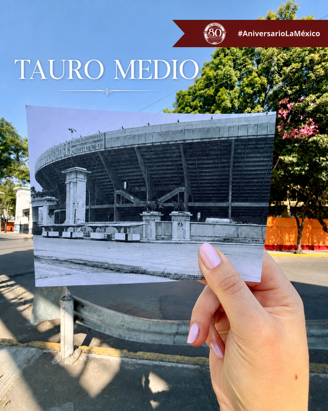 TAURO MEDIO : 80 años La México