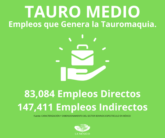 Tauro Medio: Empleos que generan la Tauromaquia.