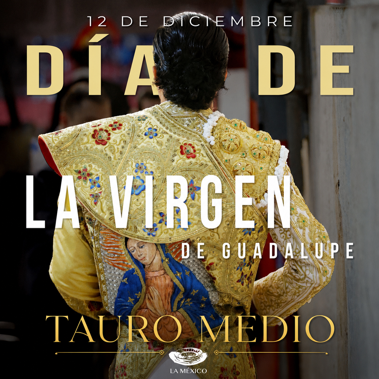 Tauro Medio : La Virgen de Guadalupe
