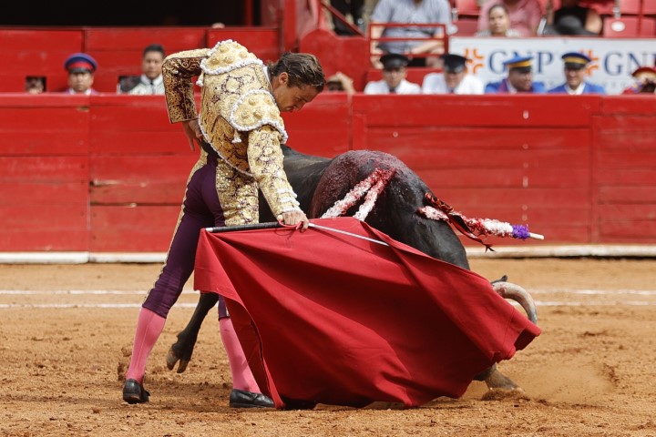 EMILIO RICAUD REPITE EN LA NOVENA NOVILLADA