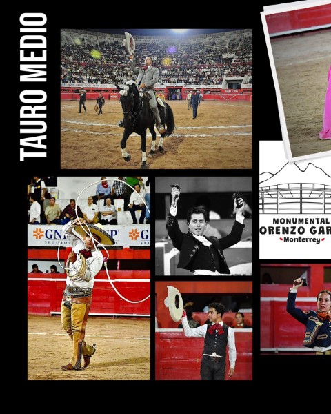 Tauro Medio: Corrida de las Tradiciones